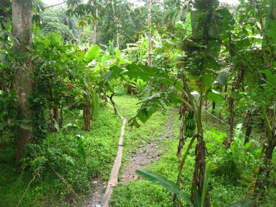 la Reserva Indígena Kekoldi